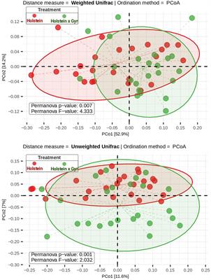 Comparison of ruminal microbiota, IL-1β gene variation, and tick incidence between Holstein × Gyr and Holstein heifers in grazing system